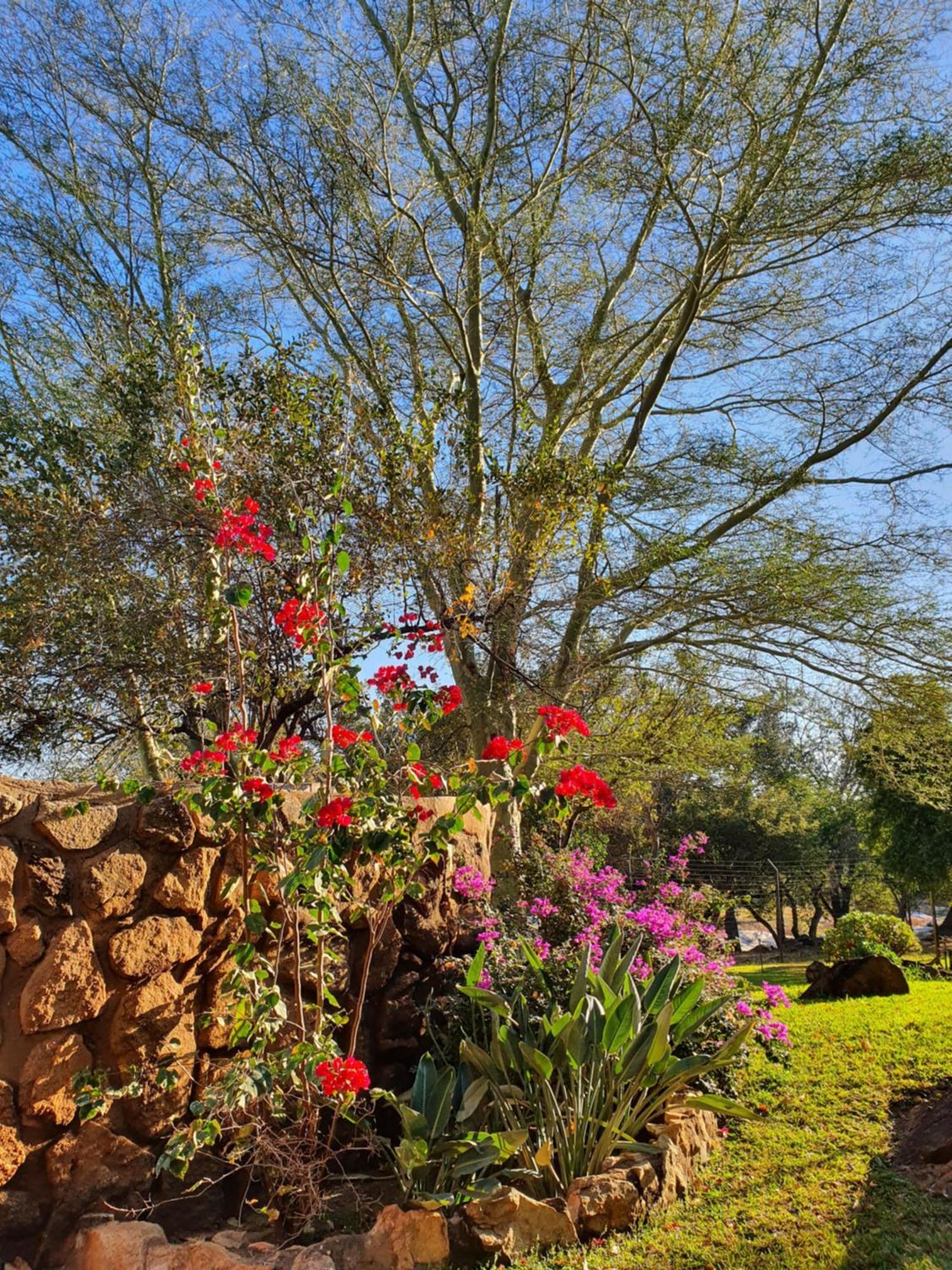 Hasekamp Family Bush Lodge Hoedspruit Buitenkant foto