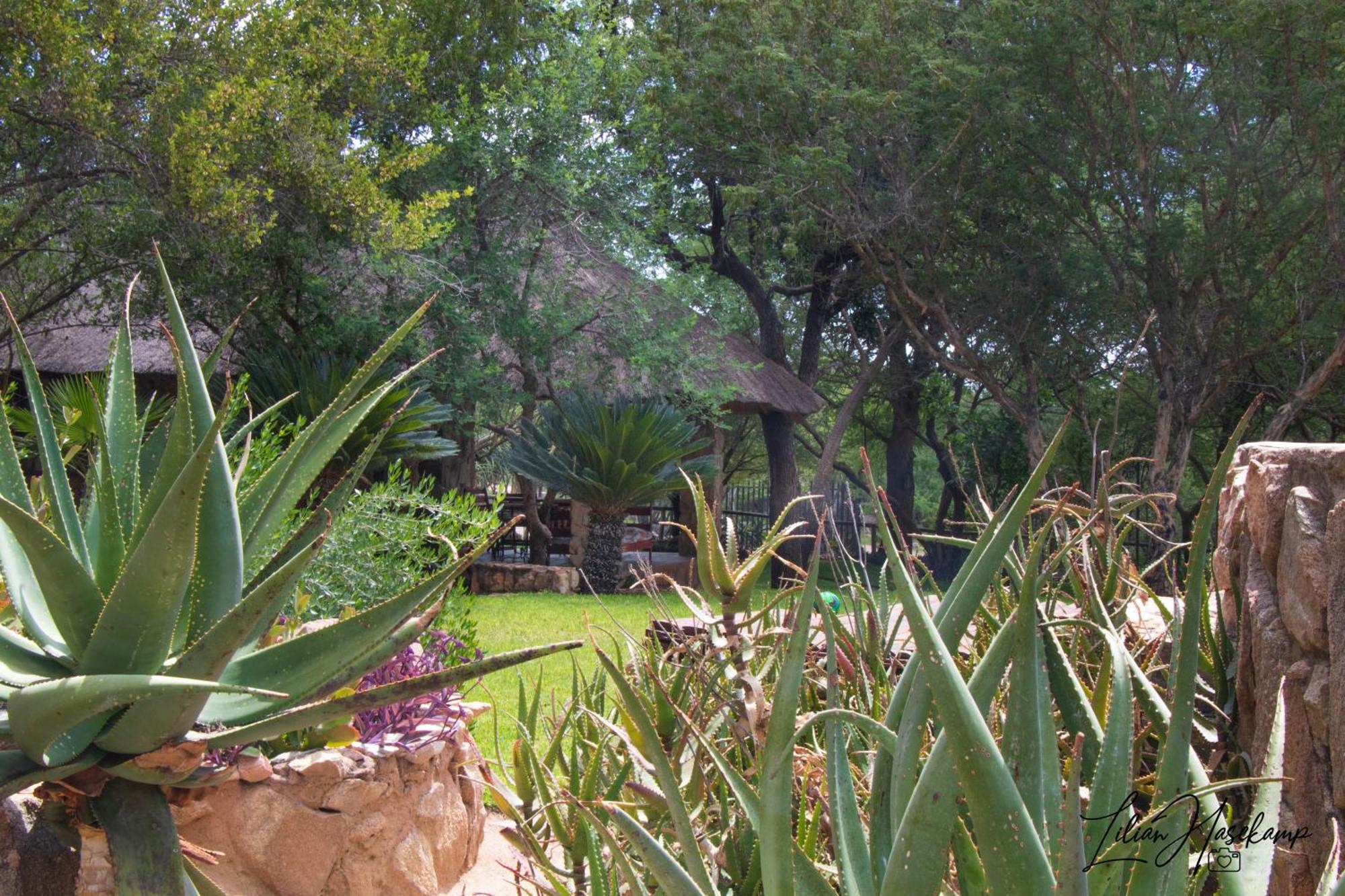 Hasekamp Family Bush Lodge Hoedspruit Buitenkant foto