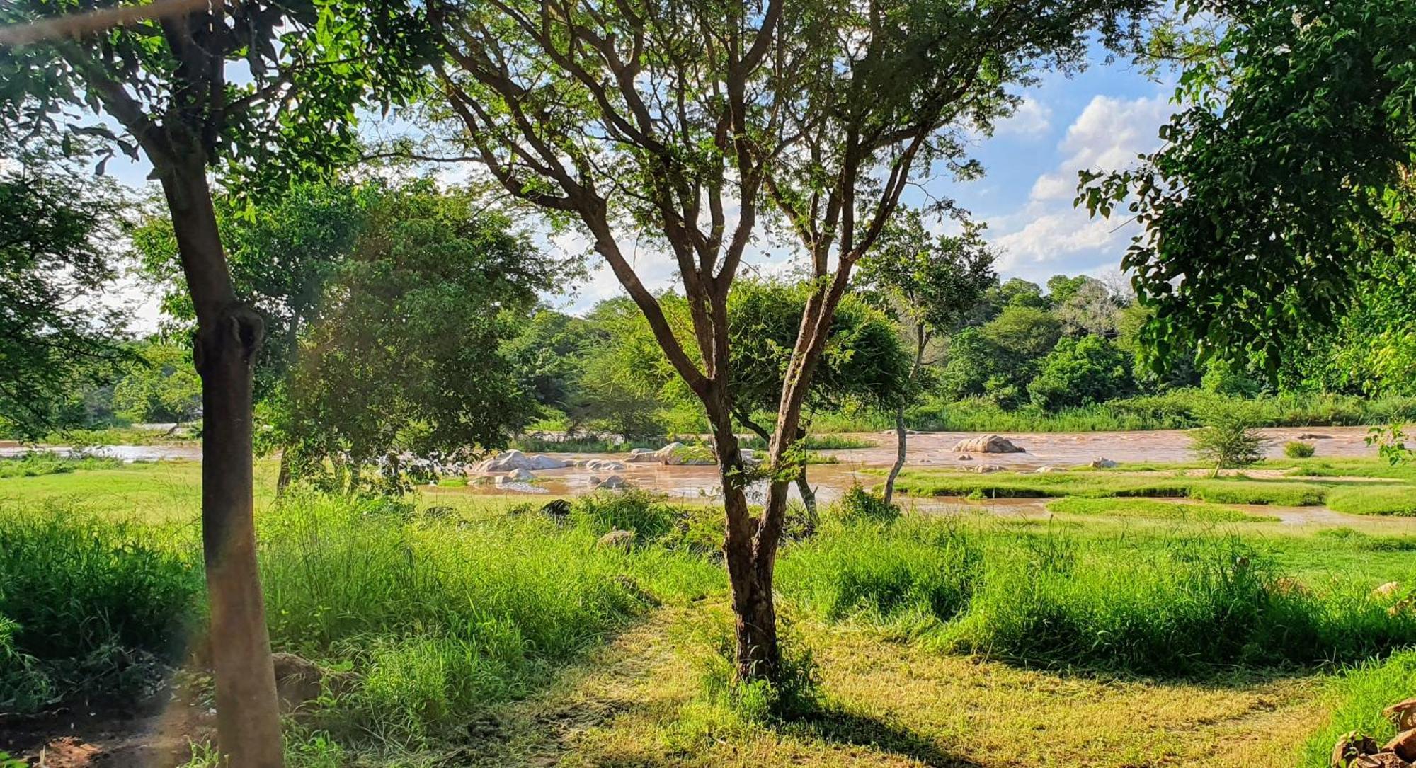 Hasekamp Family Bush Lodge Hoedspruit Buitenkant foto