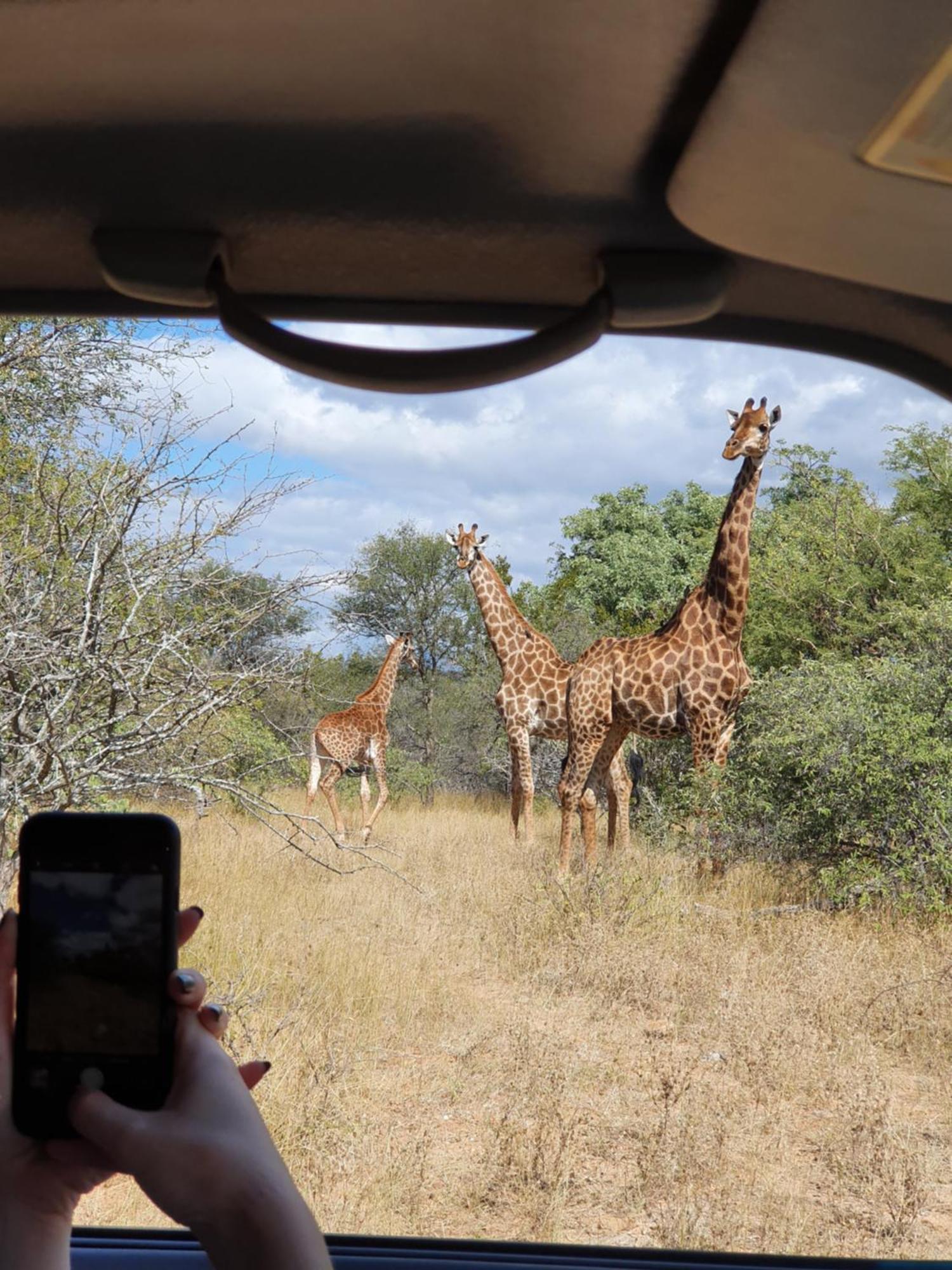 Hasekamp Family Bush Lodge Hoedspruit Buitenkant foto