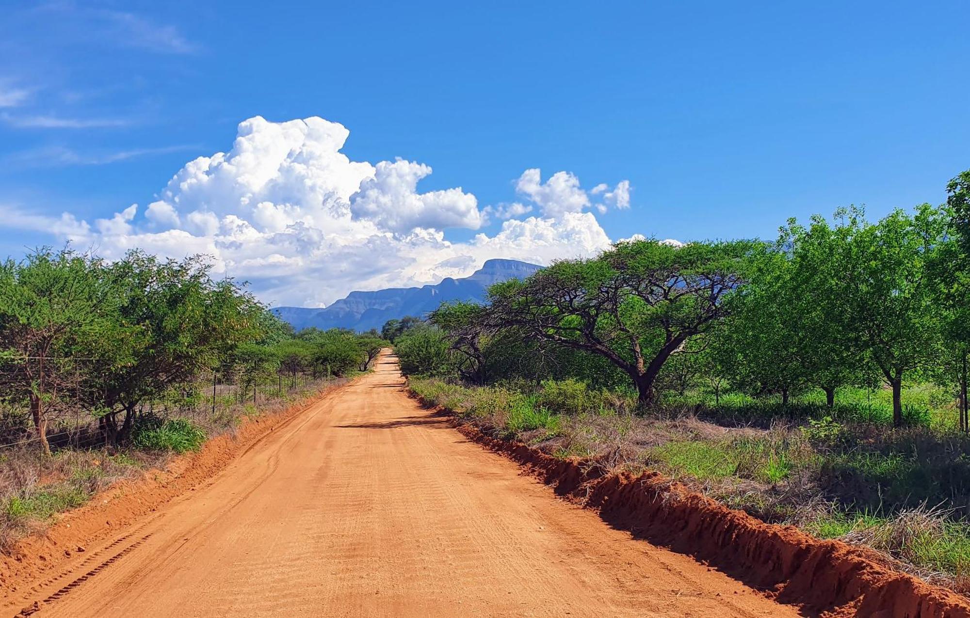 Hasekamp Family Bush Lodge Hoedspruit Buitenkant foto